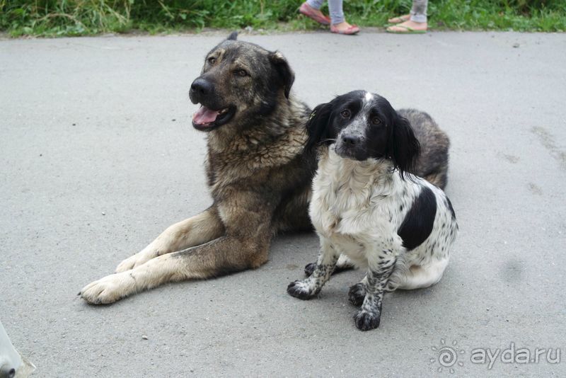 Трудно поверить, но можно проверить!