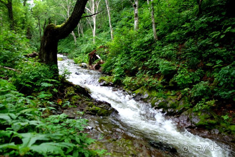 Трудно поверить, но можно проверить!