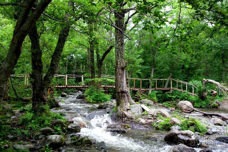 Трудно поверить, но можно проверить!