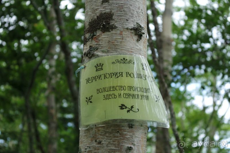 Трудно поверить, но можно проверить!