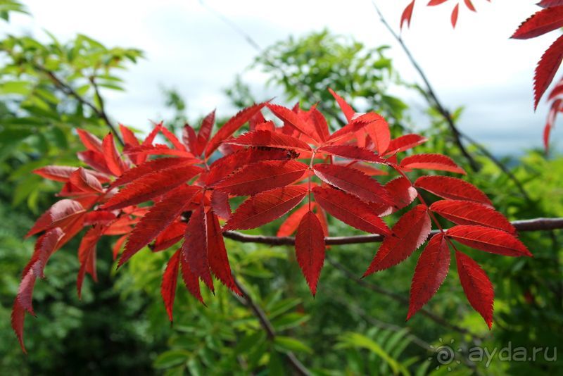Трудно поверить, но можно проверить!