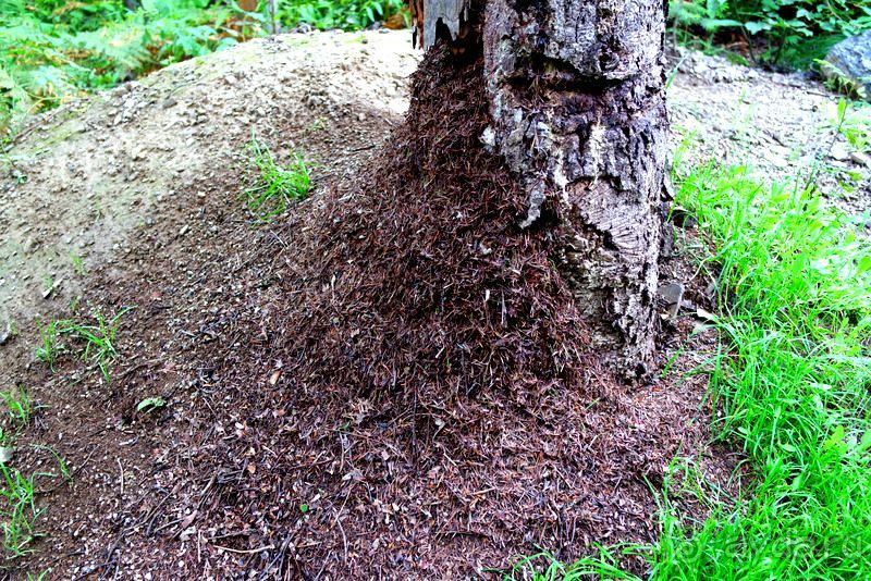 Трудно поверить, но можно проверить!