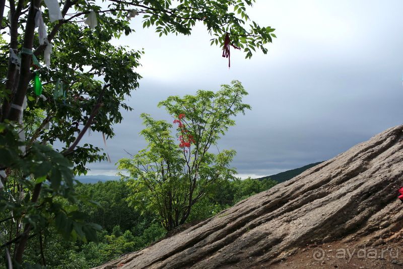 Трудно поверить, но можно проверить!