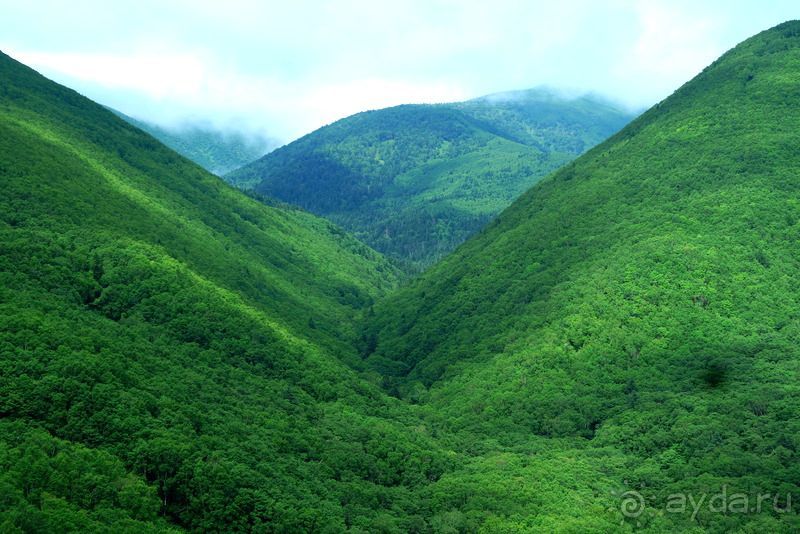 Трудно поверить, но можно проверить!