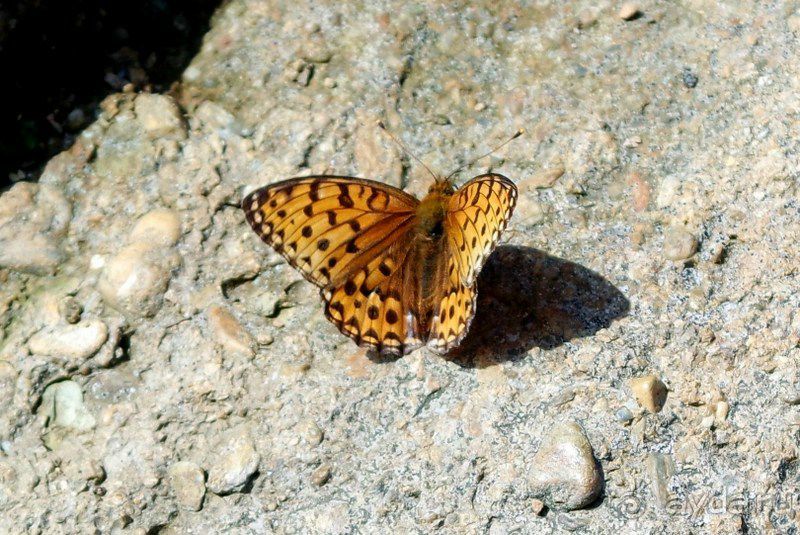 Трудно поверить, но можно проверить!