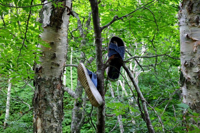 Трудно поверить, но можно проверить!