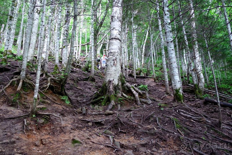 Трудно поверить, но можно проверить!