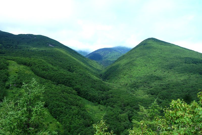 Трудно поверить, но можно проверить!
