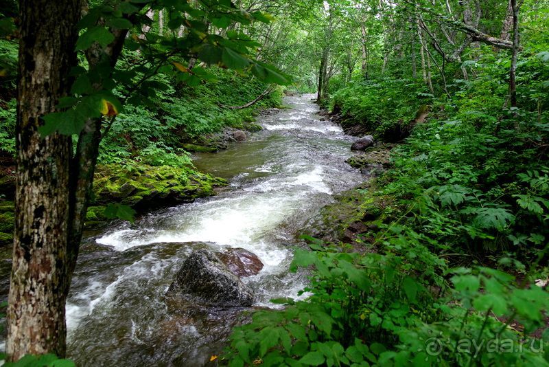 Трудно поверить, но можно проверить!