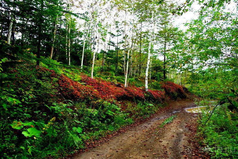 Вулканы бывают разные.