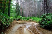 Вулканы бывают разные.