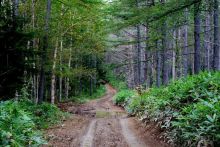 Вулканы бывают разные.