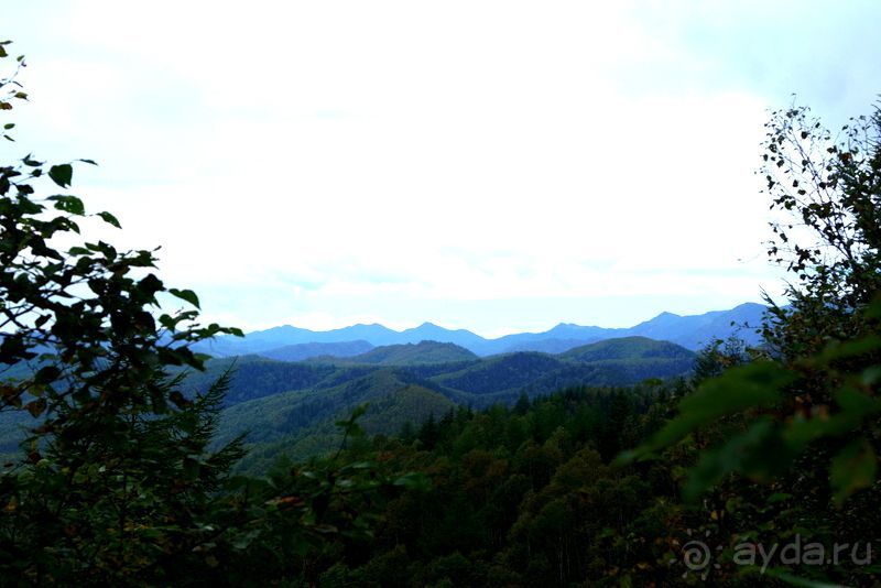 Вулканы бывают разные.