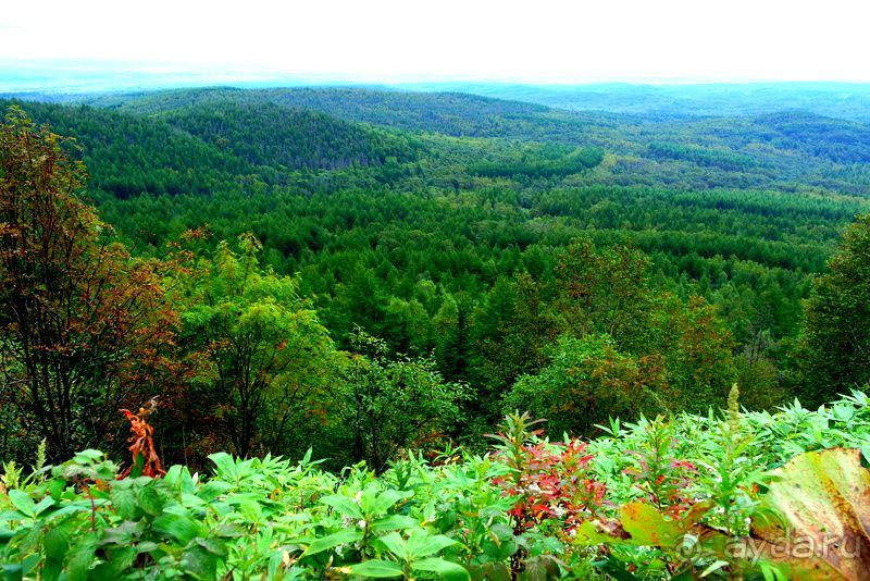 Вулканы бывают разные.