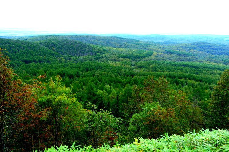 Вулканы бывают разные.