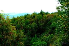 Вулканы бывают разные.