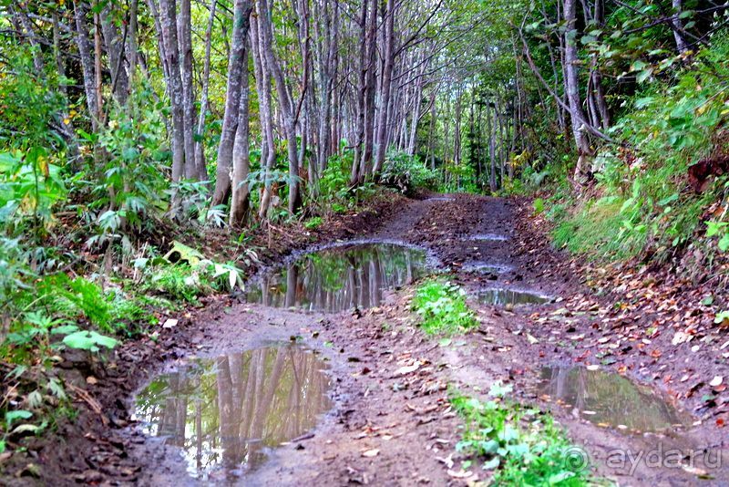 Вулканы бывают разные.