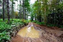 Вулканы бывают разные.