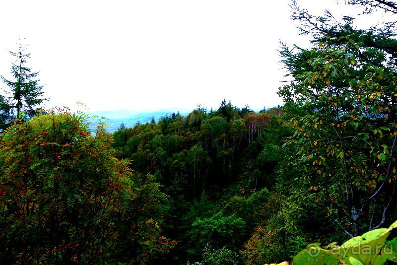 Вулканы бывают разные.