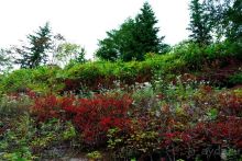 Вулканы бывают разные.