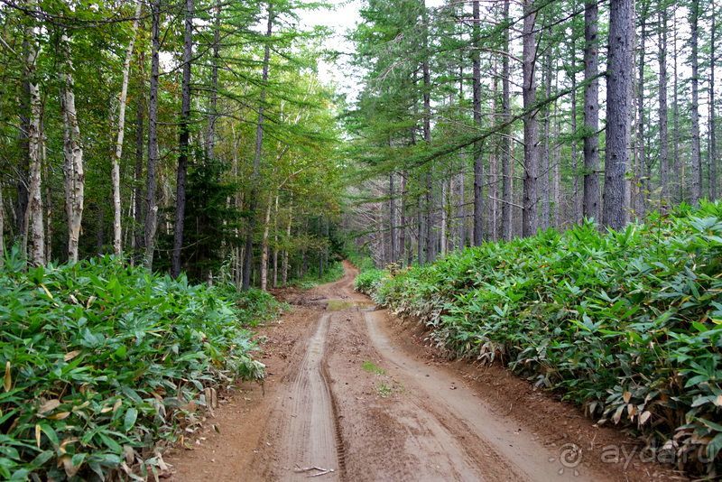 Вулканы бывают разные.