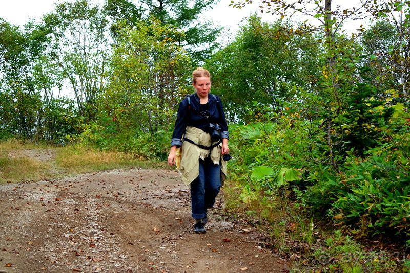 Вулканы бывают разные.