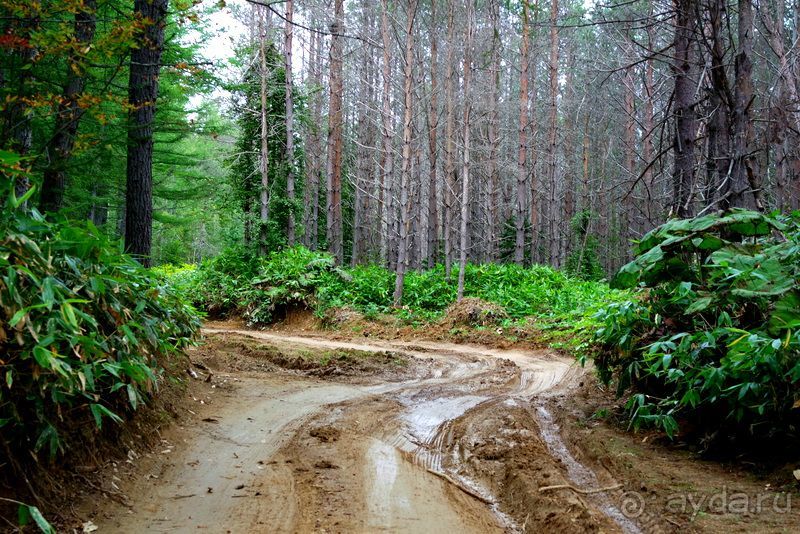 Вулканы бывают разные.