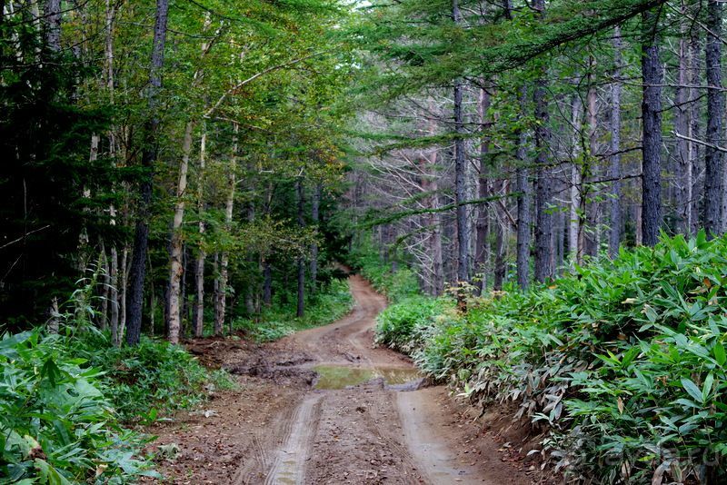 Вулканы бывают разные.