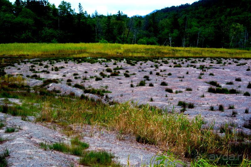 Вулканы бывают разные.