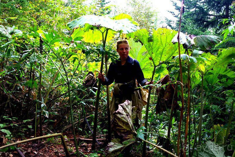 Вулканы бывают разные.