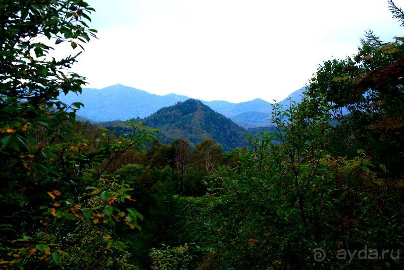 Вулканы бывают разные.