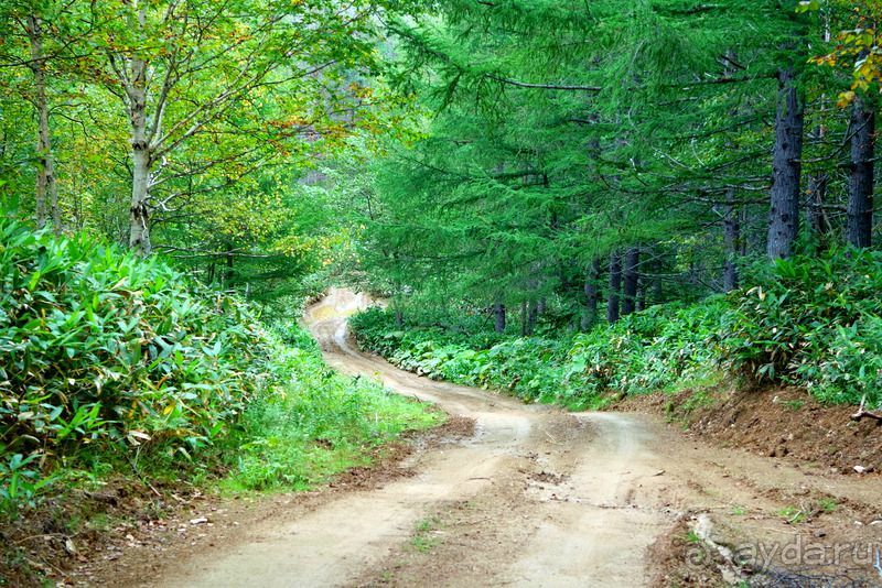 Вулканы бывают разные.