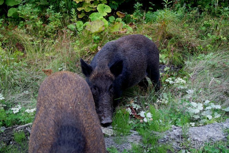 Встреча Берега и Волны. Мыс Евстафия.