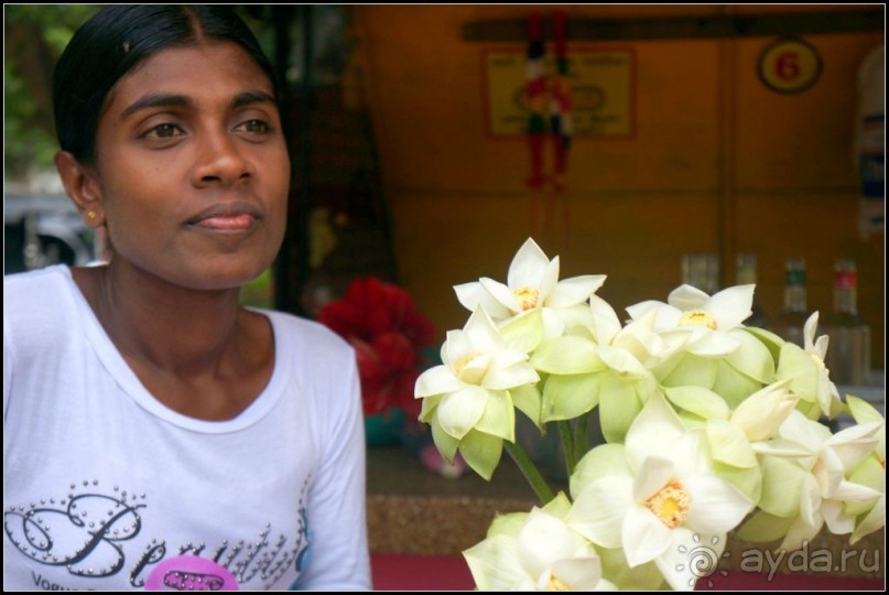 Глаза  и  улыбки   Шри  Ланки.