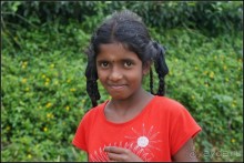 Глаза  и  улыбки   Шри  Ланки.