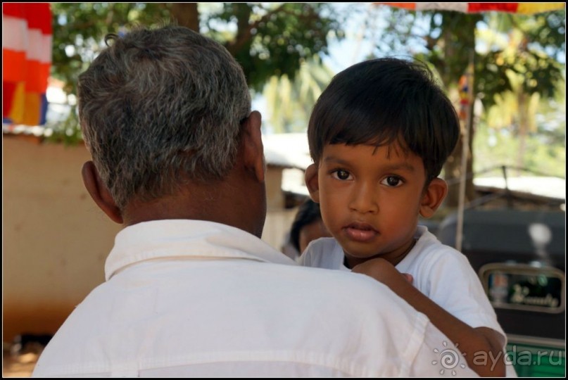 Глаза  и  улыбки   Шри  Ланки.