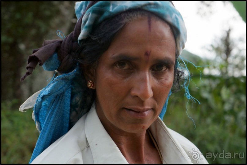 Глаза  и  улыбки   Шри  Ланки.