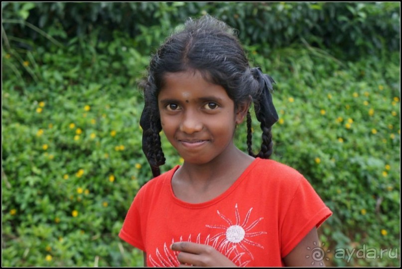 Глаза  и  улыбки   Шри  Ланки.