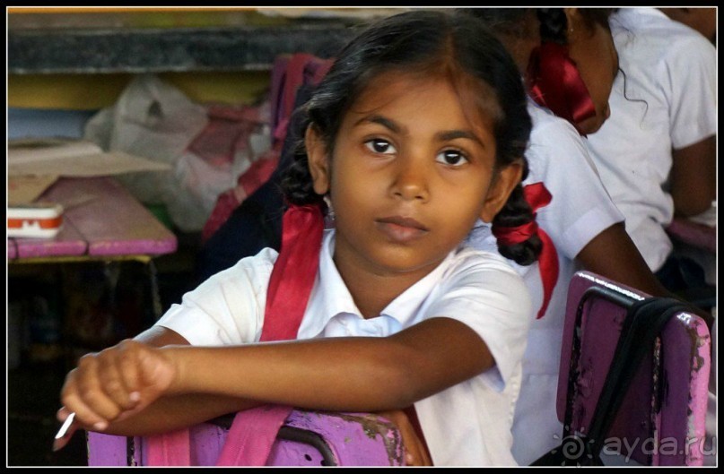 Глаза  и  улыбки   Шри  Ланки.