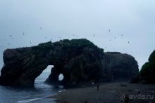 Сахалин. От мыса Птичьего до мыса Великан.