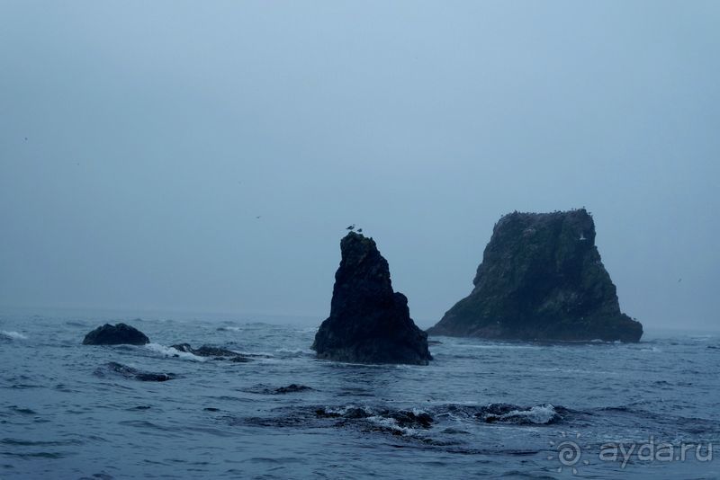 Сахалин. От мыса Птичьего до мыса Великан.