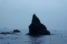 Сахалин. От мыса Птичьего до мыса Великан.