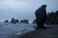 Сахалин. От мыса Птичьего до мыса Великан.