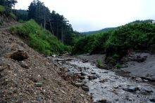 Сахалин. От мыса Птичьего до мыса Великан.