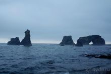 Сахалин. От мыса Птичьего до мыса Великан.