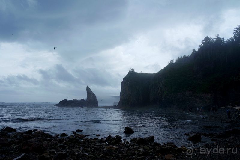 Сахалин. От мыса Птичьего до мыса Великан.