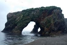 Сахалин. От мыса Птичьего до мыса Великан.