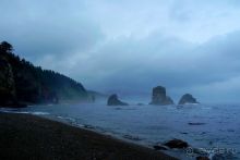 Сахалин. От мыса Птичьего до мыса Великан.