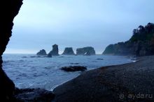 Сахалин. От мыса Птичьего до мыса Великан.