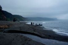 Сахалин. От мыса Птичьего до мыса Великан.